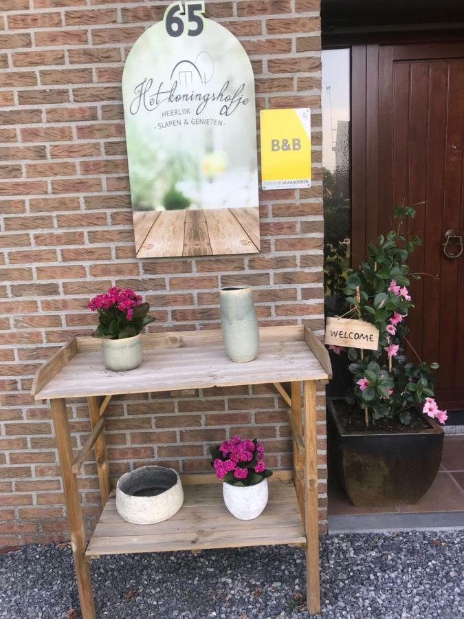 Het Koningshofje Bed & Breakfast NeerNeerpelt Exterior foto